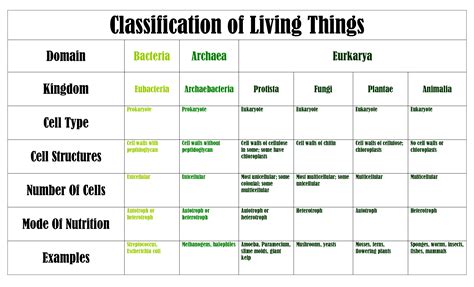 difference between taxonomy and nomenclature