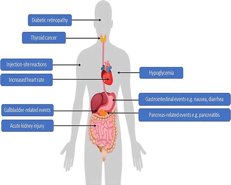 Frontiers | Safety of Semaglutide