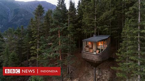 Delapan rumah hutan terbaik di dunia - BBC News Indonesia