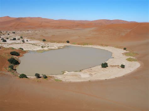 Abiotic factors - The Namib Desert