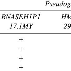 PCR Detection of Pseudogenes in Various Primate Species | Download Table