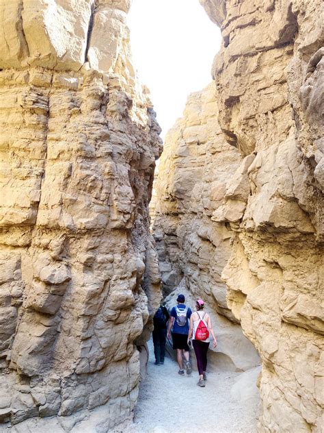 Hiking The Anza Borrego Slot Canyon: Everything You Need to Know