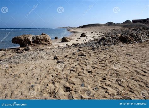 Red Sea beach stock photo. Image of beach, peaceful, sunbath - 13141134