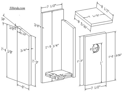 Red-bellied Woodpecker Birdhouse - 70birds Birdhouse Plans Index