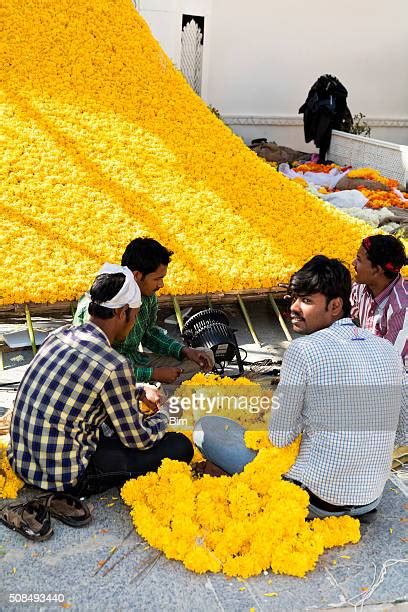 108 Jag Mandir Palace Stock Photos, High-Res Pictures, and Images ...