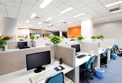 7 Best Office Plants for Your Desk – 1800Flowers Petal Talk