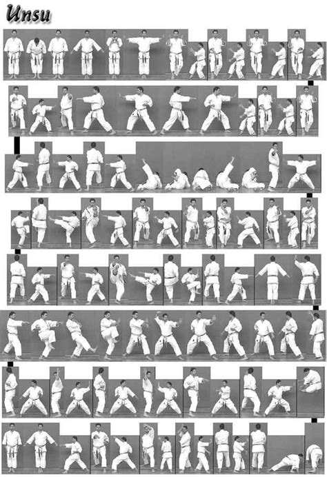 26 KATA PASSO A PASSO | Karate kata, Karate martial arts, Shotokan karate