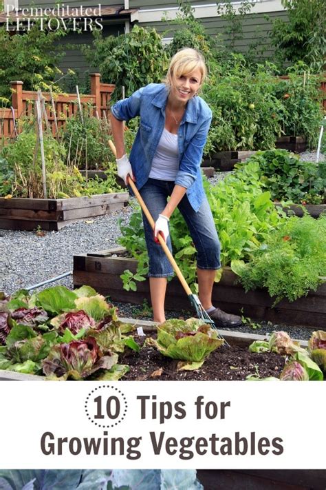 10 Tips for Growing Vegetables