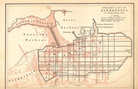 History Scene: Study: Alexandria City Design Followed the Sun Ancient ...