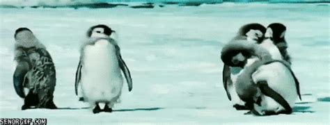 Pingu Gif Funny