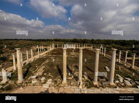 June 7, 2022, Famagusta, Cyprus: Columns of the gymnasium at Salamis with several Roman baths ...