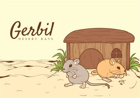 Gerbil Vector Illustration 153972 Vector Art at Vecteezy