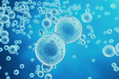 5 potential benefits of exosome treatment - AZ Big Media