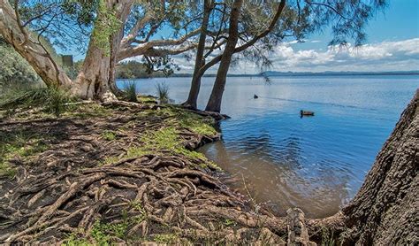 Mungo Brush campground | NSW National Parks