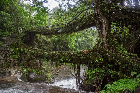 Top places to visit in Cherrapunji - Nexplore Travel