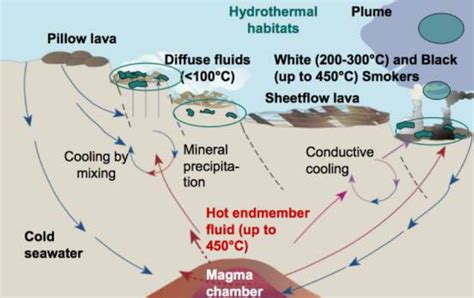 Hydrothermal Vent Diagram