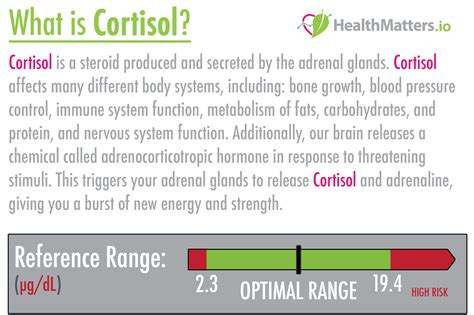 What is Cortisol? High and low values | Lab results explained