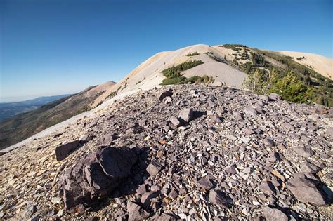 Hiking Gold Mountain in Fishlake National Forest, Utah