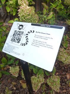 QR code sign at Cassowary exhibit Wayfinding, Signage, Borgo San Lorenzo, Zoo Activities ...