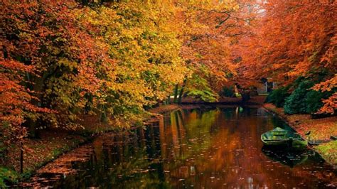 Free download autumn themed wallpapers available online to color the ...