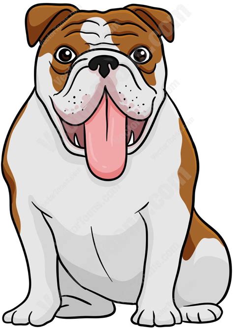 Brown And White English Bulldog Sitting With Its Tongue Hanging Out | Bulldog cartoon, Bulldog ...