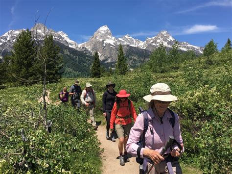 Hiking For Beginners | Timberline Adventures