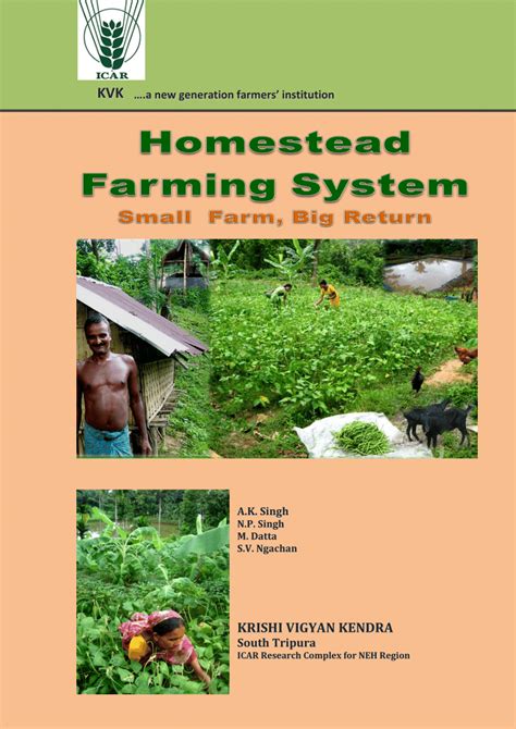 (PDF) Homestead Farming System: Small Farm, Big Return