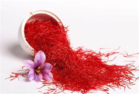 Why Iranian Saffron is famous? - IranExport