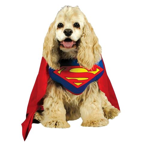 Superman Dog Costume | SCostumes