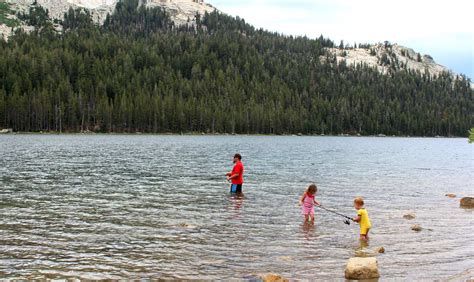 Tenaya Lake | Mariposa County | Yosemite National Park