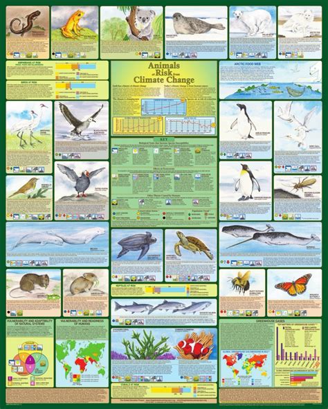 Animals at Risk from Climate Change Poster