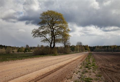 Texture of gravel road. stock photo. Image of floor - 104495458