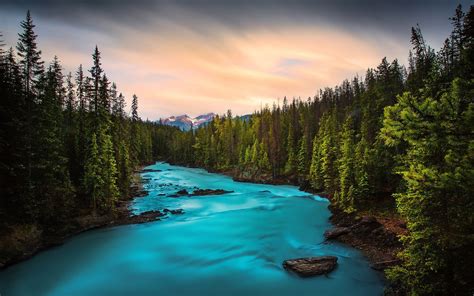 forest, river, mountain river, sunset, Yoho National Park, British Columbia, Canada | Yoho ...