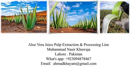 Aloe vera Pulp Extraction and juice processing line | PPT