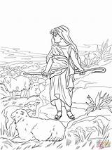 20 david The Shepherd Boy coloring Page sketch template