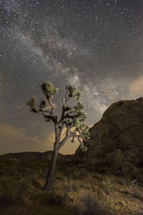 America's Great Outdoors, The night sky over Joshua Tree National Park is a...