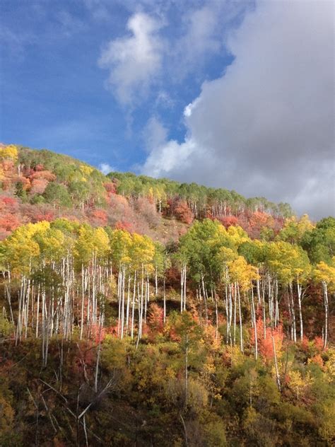 Fairview, UT : Driving East up the canyon from Fairview, UT photo ...