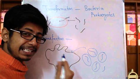 Transformation Vs Transfection - YouTube