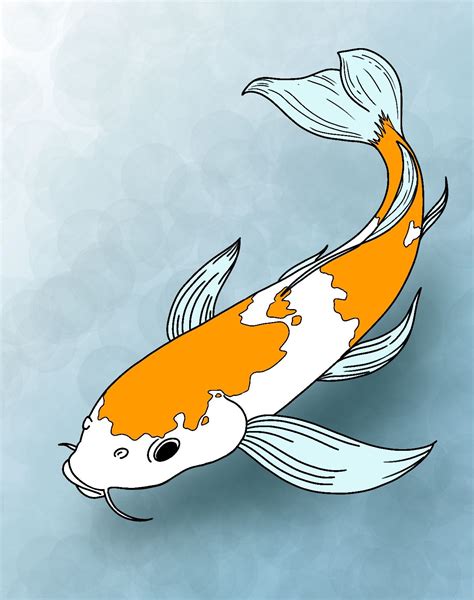 How To Draw Koi Fish - Draw Central | Koi fish drawing, Koi art, Fish ...