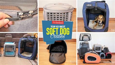 Top 10 Best Soft Dog Crates [Updated 2023]