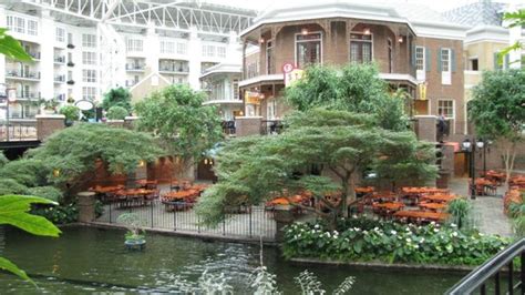 THE 10 BEST Restaurants Near Gaylord Opryland Resort Gardens