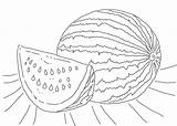 Watermelon Coloring Pages  Best For Kids sketch template