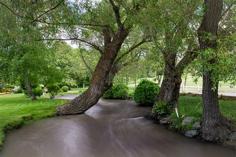 Willow Tree River Long Exposure - Free photo on Pixabay - Pixabay