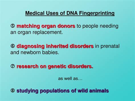 PPT - DNA Fingerprinting PowerPoint Presentation, free download - ID ...