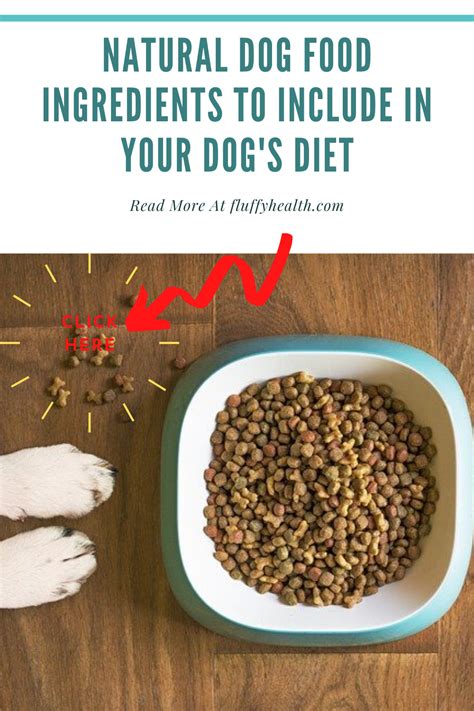 Natural Dog Food Ingredients To Include In Your Dog's Diet | Fluffyhealth