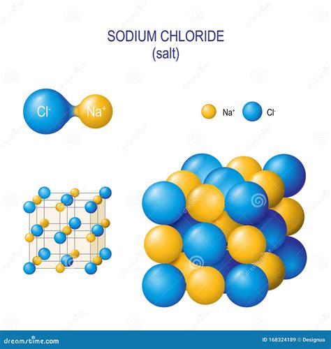 [DIAGRAM] Water And Sodium Chloride Molecular Diagram - MYDIAGRAM.ONLINE