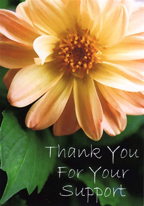 Thank You For Your Support Greeting Card