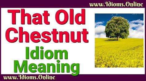 That Old Chestnut Meaning - English Idiom Videos - YouTube