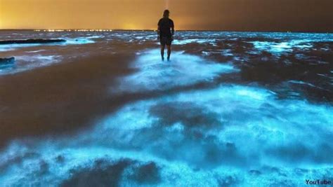 Video: Breathtaking bioluminescent algae filmed in Australia - Nexus Newsfeed