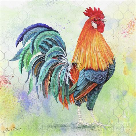 Watercolor Rooster-B Painting by Jean Plout - Pixels